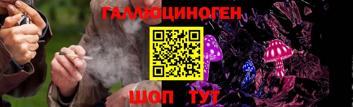 Галлюциногенные грибы Psilocybine cubensis Выкса